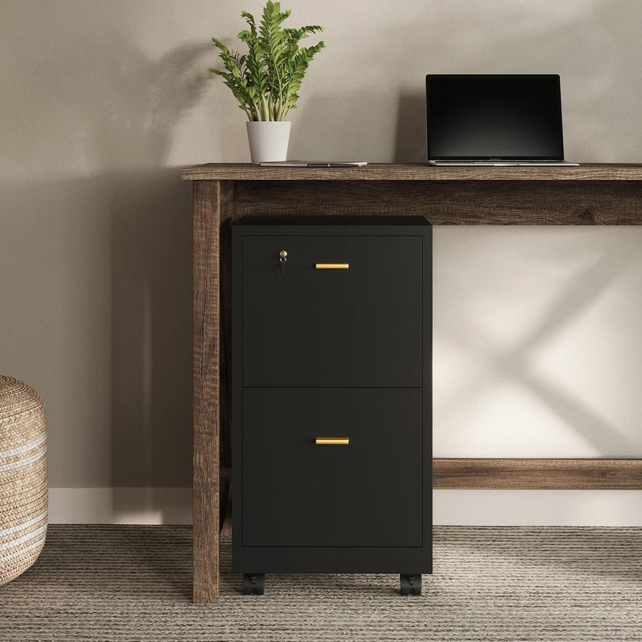 2-Drawer Wooden File Cabinet with Lock, Black, 16" x 27" — Lavish Home