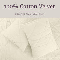 2PC Velvet Twin Quilt Set view 15