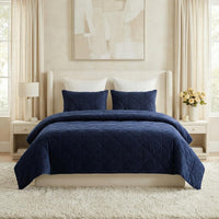 2PC Velvet Twin Quilt Set view 19