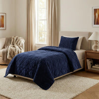 2PC Velvet Twin Quilt Set view 8