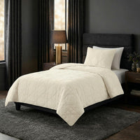 2PC Velvet Twin Quilt Set view 14