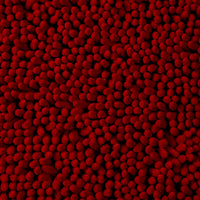 Bath Mat - 58x24-Inch Bathroom Runner with Non-Slip Backing, Burgundy view 3