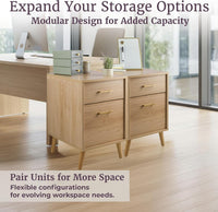 2 Drawer File Cabinet, 15.75 x 20 x 24.5 inches view 4