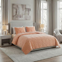 2PC Velvet Twin Quilt Set view 24