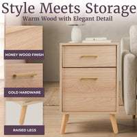 2 Drawer File Cabinet, 15.75 x 20 x 24.5 inches view 3