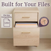 2 Drawer File Cabinet, 15.75 x 20 x 24.5 inches view 5