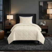 2PC Velvet Twin Quilt Set view 13