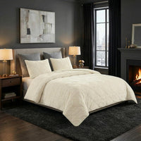 2PC Velvet Twin Quilt Set view 29