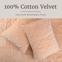 2PC Velvet Twin Quilt Set view 3