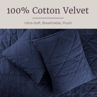 2PC Velvet Twin Quilt Set view 9