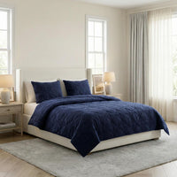 2PC Velvet Twin Quilt Set view 20