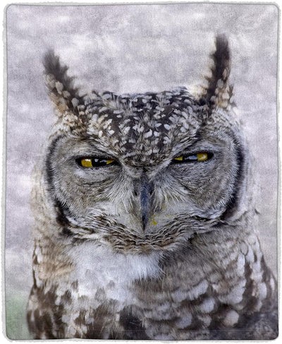 Sherpa Fleece Throw Blanket- Owl Print Pattern