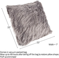 Decorative Pillows, 22 x 22, Gray view 2